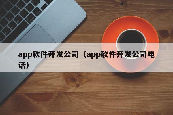 app軟件開(kāi)發(fā)公司（app軟件開(kāi)發(fā)公司電話）