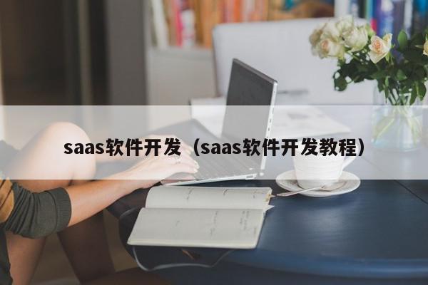 saas軟件開發(fā)（saas軟件開發(fā)教程）