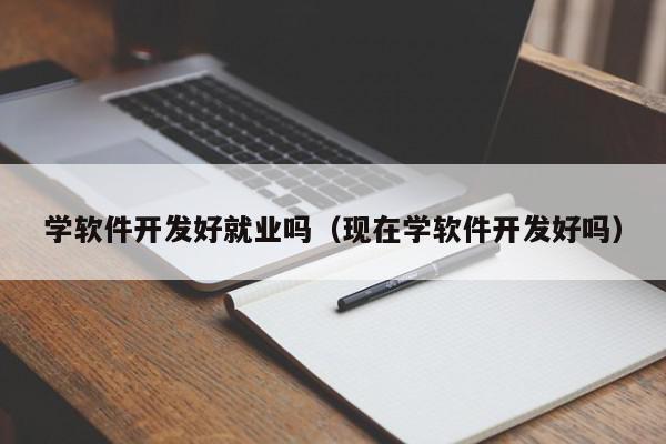 學軟件開發(fā)好就業(yè)嗎（現(xiàn)在學軟件開發(fā)好嗎）