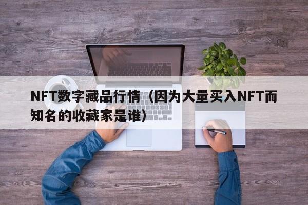 NFT數(shù)字藏品行情（因?yàn)榇罅抠I入NFT而知名的收藏家是誰(shuí)）